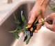 Секатор для цветов 22 см нержавеющая сталь обрезка растений Fiskars FK-2814 - изображение 10