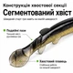 Силиконовая приманка Вьюн реалистичная мягкая рыбка для спиннинга, щуки, окуня, судака 7см - изображение 5