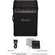 Акустика Marshall Bromley 450 Black And Brass (1008199) [171218] - изображение 9