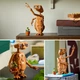 Zestaw klocków LEGO Ideas E.T. the Extra-Terrestrial 1226 elementów (21370) - obraz 4