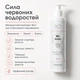 Интенсивно обновляющий шампунь с красными водорослями Red Algae INTENSIVE REPAIR Shampoo, 250 мл. 9 O'clock OK-03-980 - изображение 3