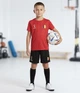 Футбольная форма (футболка и шорты) для мальчика Lidl Fifa Belgium 421083 122-128 см (6-8 years) Комбинированный - изображение 2