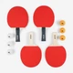 Ракетки для настольного тенниса Butterfly Racket Set Easy 4 Bats 6 Balls - изображение 2