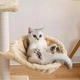 Когтеточка-домик многоуровневая 138 см для котов с домиком и гамаком бежевый WERDANO PETS FK-1166 - зображення 7