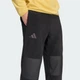 Мужские спортивные брюки Terrex Multi Essentials Fleece adidas KE3444 (XS) черный (4069995873644) - изображение 4