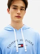 Пижама (худи + штаны) мужская хлопковая Tommy Hilfiger 465643823 M Голубая (1160222983) - изображение 8
