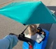 Портативна парасолька-кліпка Sport-Brella Versa-Brella UPF 50+ з універсальним затискачем та поворотом на 360 градусів бірюзова, 250127 - зображення 3