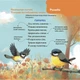 Книга «Віршенята-гралочки. Забавлянки, утішки, руханки, лічилки для малят. 0–3 роки». Автор - Юлія Забіяка - изображение 7