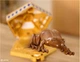 Интерактивная игрушка Wizarding World Harry Potter, Interactive Chocolate Frog, Гарри Поттер - изображение 3