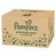 Подгузники Pampers Premium Care Размер 5 (11-16 кг) 132 шт (8006530223478) - изображение 8