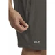 Шорты Jack Wolfskin Hikeout Shorts M S Коричневый (1109-4064886698931) - изображение 6