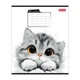 Зошит учнівський Little cat 1B 768734 12 аркушів Різнокольоровий shop (4823133108957) - зображення 1