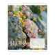 Зошит учнівський Flora YES 768792 36 аркушів Різнокольоровий shop (4823133109701) - зображення 4