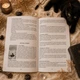 Книга «Таро Чорних Котів». Повний посібник по колоді, російська мова - зображення 7