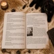 Книга «Таро Чорних Котів». Повний посібник по колоді, російська мова - зображення 9