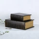 Книга скринька з 2-х Закохані Гранд Презент 22-KSH-XZ-PU3009 - изображение 4