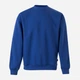 Свитшот на флисе мужской Velilla 105701_09 L Royal Blue (8435011489896) - изображение 1
