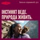 Паштет для кошек Carnilove Turkey & Salmon Kitten 100 г (8595602582877) - зображення 6