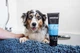 Шампунь-кондиціонер від ковтунів для собак Animology® Hair of the Dog 250 мл - изображение 3