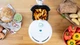 Мультипіч Cecotec Cecofry Compact Rapid Sun 1.5 l (03082) - зображення 5