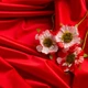 Тканина трикотаж SILKY 160 г/м2 ширина 175 см преміальна блискуча тканина для легінсів і топів червона - зображення 4