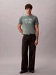 Футболка хлопковая длинная мужская Calvin Klein 4RE887G-PNO(Autumn Green) M Полынь (132282014948) - изображение 3