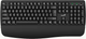 Клавіатура Genius KB-7123 Copilot Black (31320007403) - зображення 1