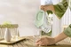 Фильтр-кувшин Brita Style eco LED Mxpro светло-зеленый (1055731) - изображение 9