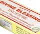 Ароматические палочки Satya Divine Blessings Божественное Благословение 27 г - изображение 2