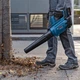 Аккумуляторная садовая воздуходувка Bosch Professional GBL 18V-750 без акб (06008D2000) - изображение 5