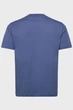 Чоловіча синя футболка GRAPHIC Gant L 2003425 - изображение 2