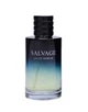 Туалетна парфумована вода чоловіча PARADISE SALVAGE EDP, 100 мл - зображення 2