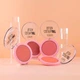 Компактные румяна Callista Color & Art Blush 110 Blushing Pink 10 г (8680705130015) - изображение 9