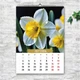 Календарь настенный перекидной КРАСОТА ЦВЕТОВ 2027 13 ЛИСТОВ ENTERSTORE 42х29.7 см (ART 250120) - изображение 2