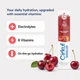 Стик Cirkul со Вкусом Белой Черешни 1 шт FitSip White Cherry Flavor Singles Electrolyte Cirkul 41493-2 - изображение 2