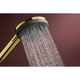 Лійка для душу HANSGROHE RAINDANCE ALIVE 24500990, золото, кругла - изображение 4