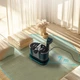 Odkurzacz piorący Cecotec Conga 7000 Carpet&Spot Clean Steam Max (A01_EU01_112483) - obraz 6