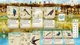 Ключ активации Birds and Cats для Xbox One/Series S/X - изображение 5