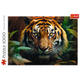 Puzzle Trefl Dziki Tygrys Premium Quality 1000 elementów (5900511107982) - obraz 3