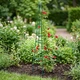 Pergola ogrodowa Vilde 339537 - obraz 7