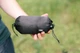 Москитная сетка для гамака Tribe Hammock Mesh 306 х 140 см Черная (T-LE-0014-black) - изображение 9
