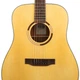 Акустична гітара TANGLEWOOD TS5 - зображення 2