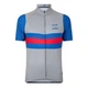 Велоджерси с коротким рукавом SKINS Cycle x Chapeau! grey S - изображение 1