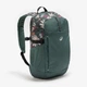 Туристичний Рюкзак QUECHUA 20л 46 x 20 x 14 см Зелений - зображення 1