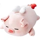 MINISO Xiaozhu B-BO Крило Стиль Плюшева лялька Іграшка М'яка тварина Подушка Подарунок на день народження для жінок - зображення 3