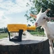 Набор для фондю Cheesy 1300мл Boska Holland (853512) - изображение 4