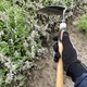 Сапа садовая мотика полильник для удаления сорняков и разрыхления почвы на огороде и в саду - изображение 8