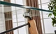 Обеденный стол Everest Glass 120x80 см закаленное стекло, бук, прозрачный - изображение 4