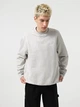 Свитшот Dickies 8926421 Светло-серый XS DIM466 - изображение 1