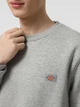Свитшот Dickies 9466971 Серый L DIM447 - изображение 4